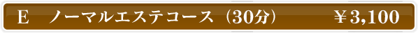 E ノーマルエステコース（30分） \3,100
