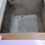 DSC_0100.JPG